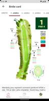 Royal Golf screenshot 1