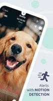 Buddy: Dog monitor & Pet cam スクリーンショット 1