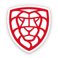 Český florbal
