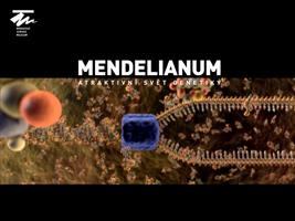 Mendelianum Affiche