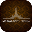 Napoleon1805 иконка