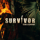 آیکون‌ Survivor CS