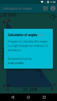 Calculation of angles imagem de tela 2
