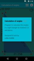 Calculation of angles captura de pantalla 2