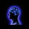 Factor "Balance" APK