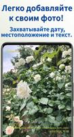 Дата-Камера 2(дата и место) постер