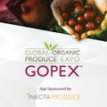 GOPEX 2019