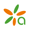 Arpinet TV Mobile v.2 APK