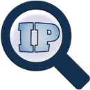 IP Discovery - Widget aplikacja