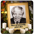 Nelson Mandela Live Wallpaper-icoon