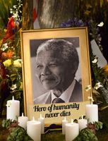 Nelson Mandela Live Wallpaper 截图 2