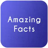 Amazing Facts