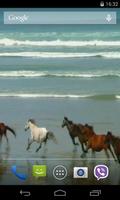 Amazing horses imagem de tela 1