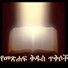 Amharic Bible Verses icône