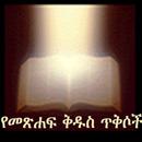 Amharic Bible Verses-APK