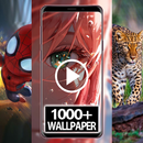 APK 1000+ Video Wallpaper RZDO