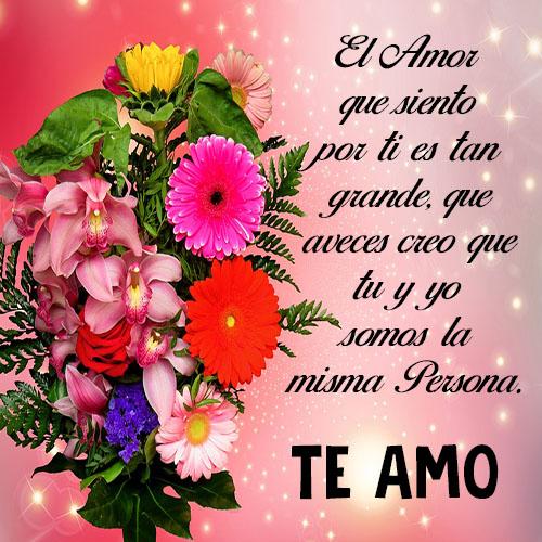 Flores y Rosas de Amor -Frases APK for Android Download
