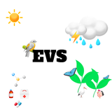 EVS icon
