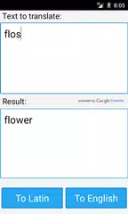 Latin English Translator APK download
