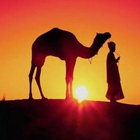 آیکون‌ Visit Morocco
