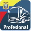 Simulador licencia profesional (D) ANT 2018 - 2019 APK