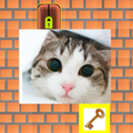 LABIRIZOOM GATTO NEL LABIRINTO