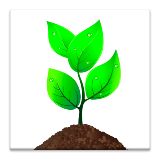 Why is Organic food good?