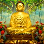 Buddha Mantra Darshan