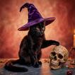 Dark Gothic Wallpapers icon