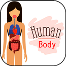 Human anatomy. The human body-APK