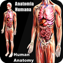 Menselijke anatomie Bestudeer het 3D-menselijk-APK
