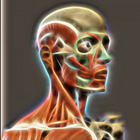 3D Human Anatomy Atlas icon