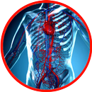 Anatomie - Physiologie APK