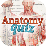 Anatomy Of Human Body Quiz