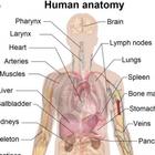 physiology and anatomy books simgesi
