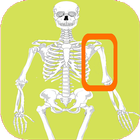 Skeleton bones, guess what is آئیکن