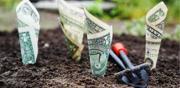 Ancient Money Spells