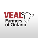 Veal Market Report APK
