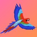 Flying Cwan APK