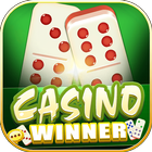 Casino Winner - Slots icône