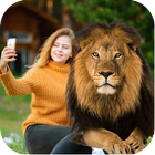 Lion Photo Editor ikona