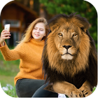 Lion Photo Editor icono