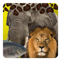 Safari Animals Sound