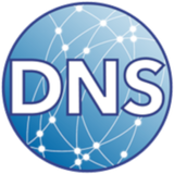 APK DNS Client for Android