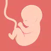 HiMommy: Pregnancy Tracker APK