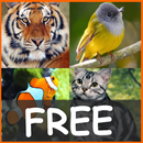 Animal Sounds for Kids APK