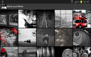 Black and White capture d'écran 3