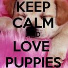 Keep Calm 4 PUPPIES biểu tượng