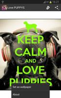 Keep Calm 4 PUPPIES Affiche