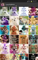 Keep Calm 4 PUPPIES ảnh chụp màn hình 1
